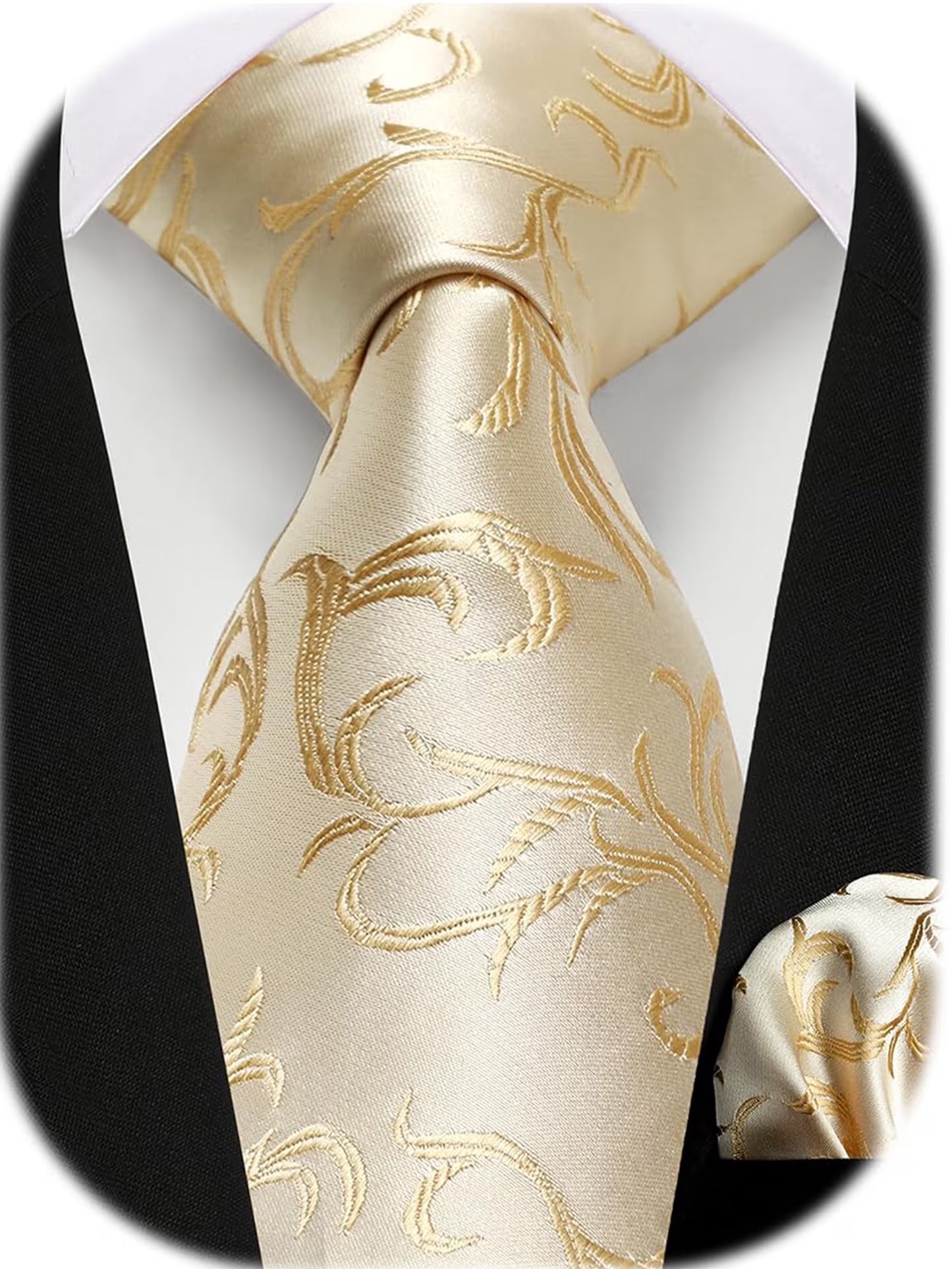 HISDERN Ties for Men Paisley Tie and Pocket Square Woven Classic Floral Mens Ties Handkerchief Set