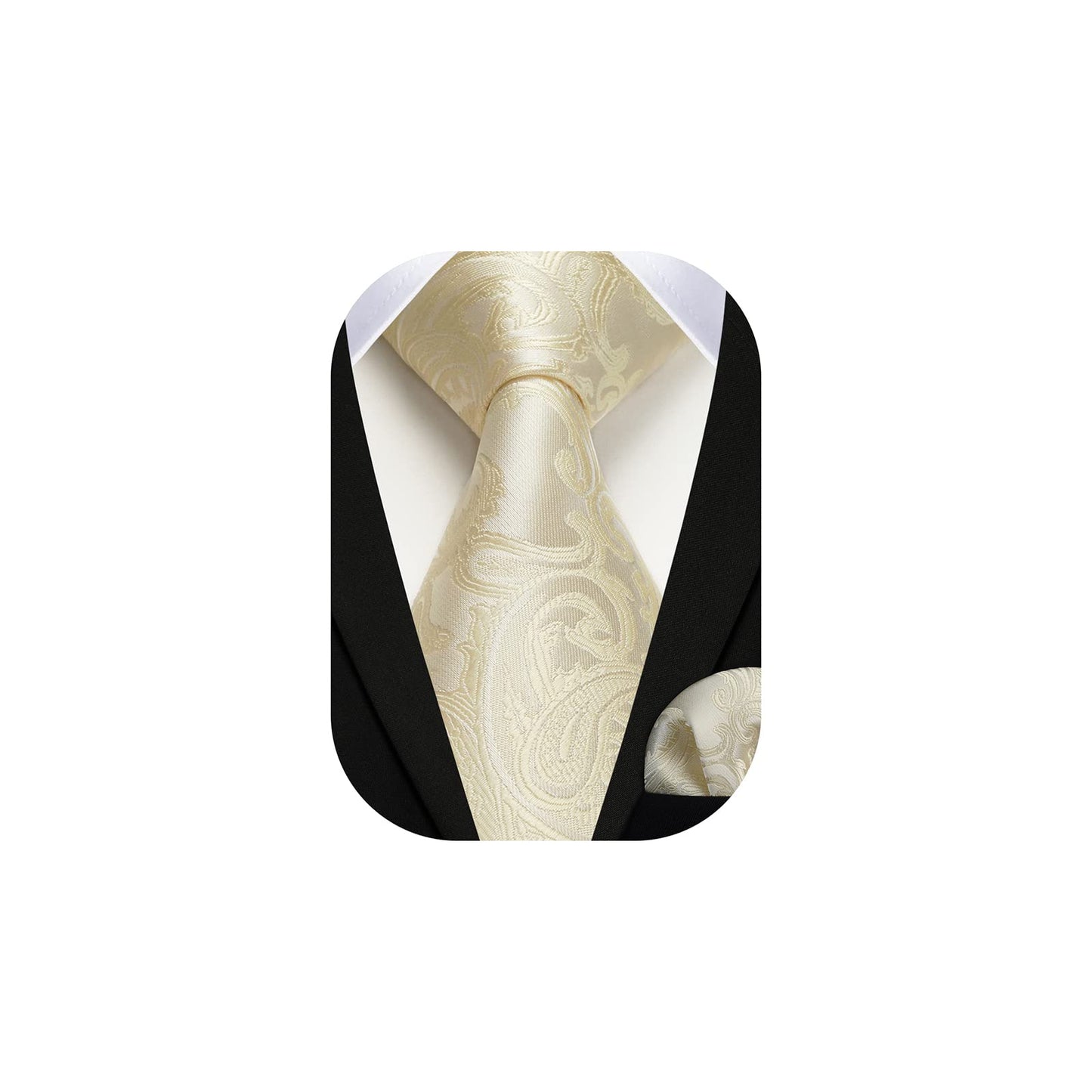 HISDERN Paisley Ties for Men Neckties and Pocket Squares Set for Formal Party Wedding